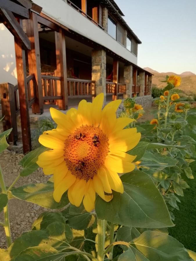 Anemomylos House Exo Mouliana Kültér fotó